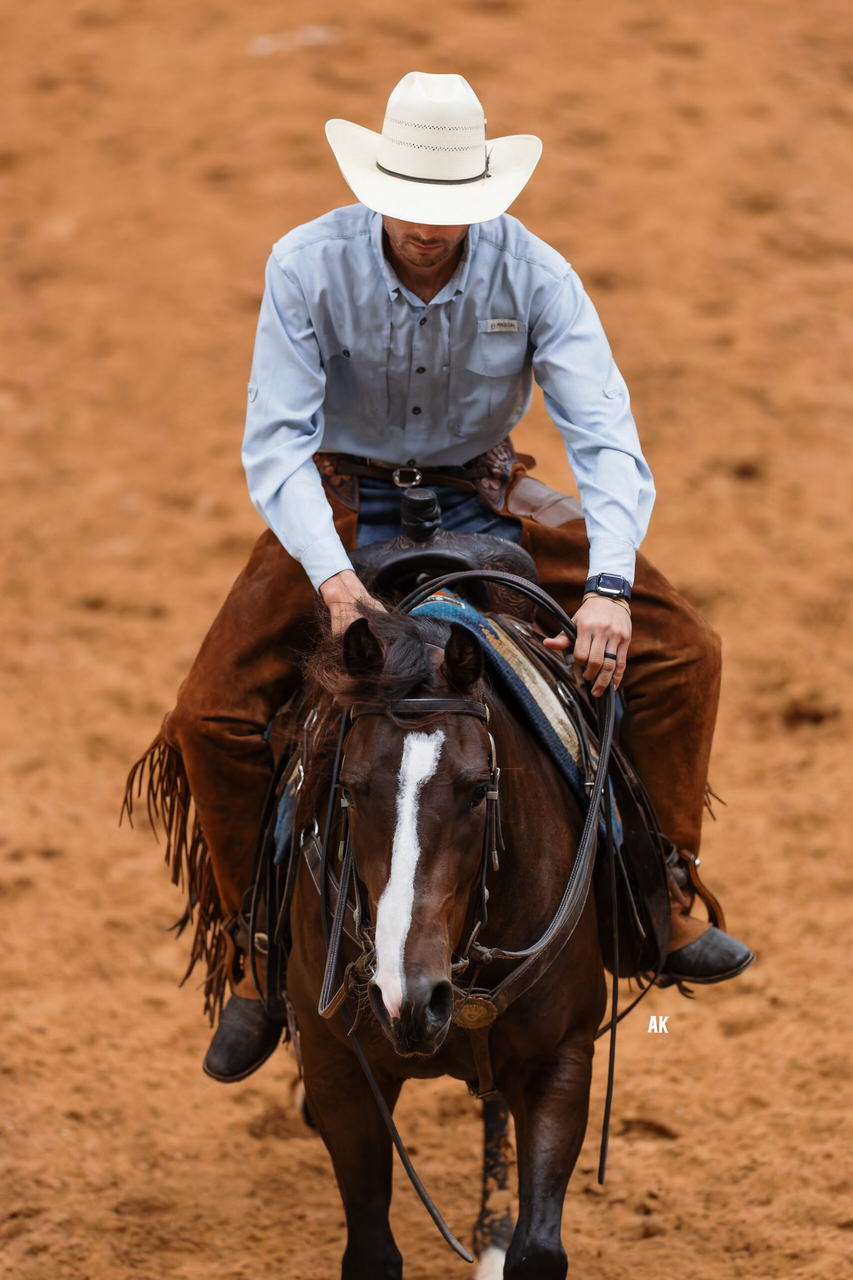 Reining horse and rider in an arena