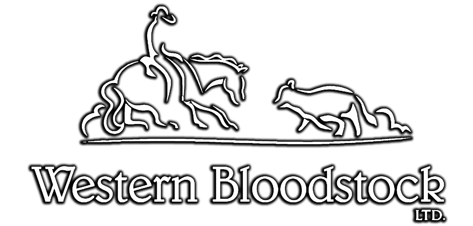 Western Bloodstock