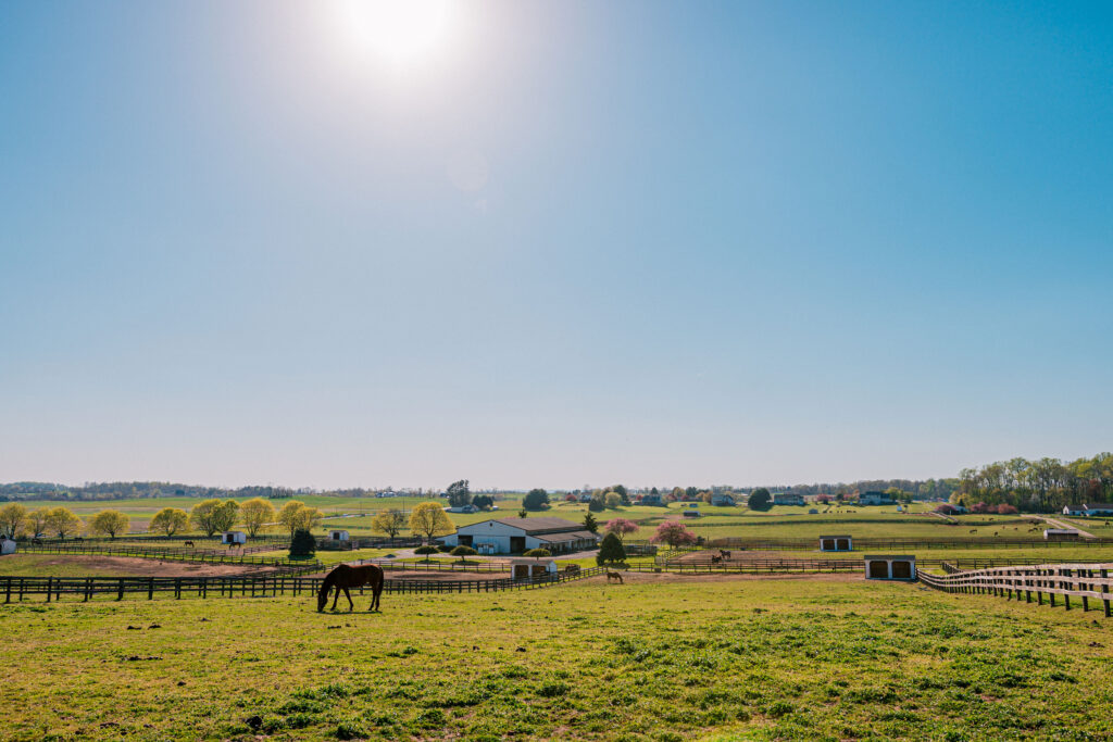 Fenced pasture, barns and farm buildings on a clear spring morning